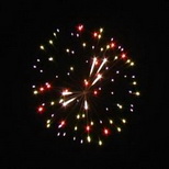 75_Colorfull Peony with Coco Pistil.jpg